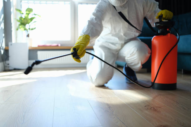 Reliable Unattended Death Cleanup contractor in Nederland, CO by Trauma Clean Pros
